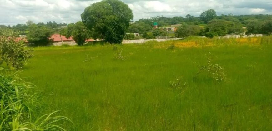 Prime land for sale in ibex hill near pesttloze school