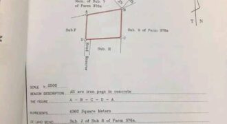 Prime land for sale in ibex hill near pesttloze school