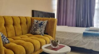 COSY STUDIO AIR BNB FULLY FURNISHED APARTMENT TO-LET IN RUAKA ALONG LIMURU RD