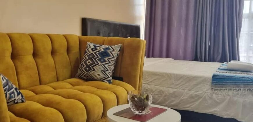 COSY STUDIO AIR BNB FULLY FURNISHED APARTMENT TO-LET IN RUAKA ALONG LIMURU RD