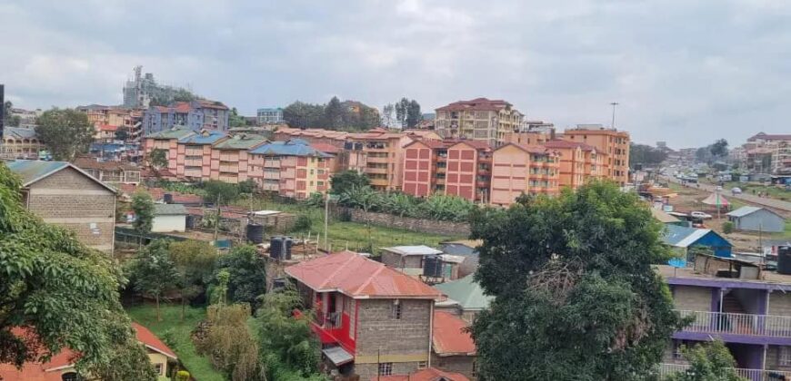 COSY STUDIO AIR BNB FULLY FURNISHED APARTMENT TO-LET IN RUAKA ALONG LIMURU RD