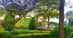 A BEAUTIFUL SIX ROOMS ARE FOR RENT AT UGANDA- NAGURU