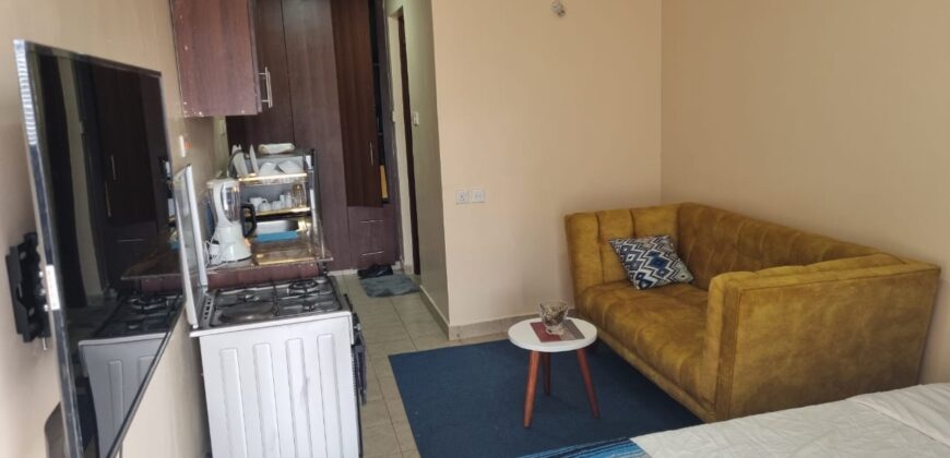 COSY STUDIO AIR BNB FULLY FURNISHED APARTMENT TO-LET IN RUAKA ALONG LIMURU RD