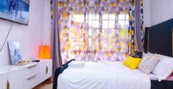 COSY STUDIO AIR BNB FULLY FURNISHED APARTMENT TO-LET IN RUAKA ALONG LIMURU RD