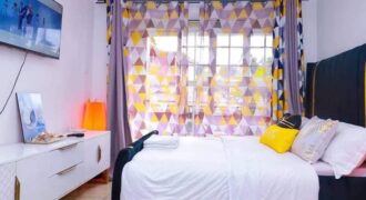 COSY STUDIO AIR BNB FULLY FURNISHED APARTMENT TO-LET IN RUAKA ALONG LIMURU RD