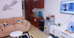 COSY STUDIO AIR BNB FULLY FURNISHED APARTMENT TO-LET IN RUAKA ALONG LIMURU RD