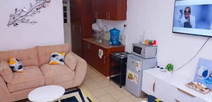 COSY STUDIO AIR BNB FULLY FURNISHED APARTMENT TO-LET IN RUAKA ALONG LIMURU RD