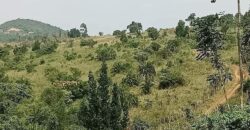 LAND FOR SALE AT UGANDA-KYABAHEESI