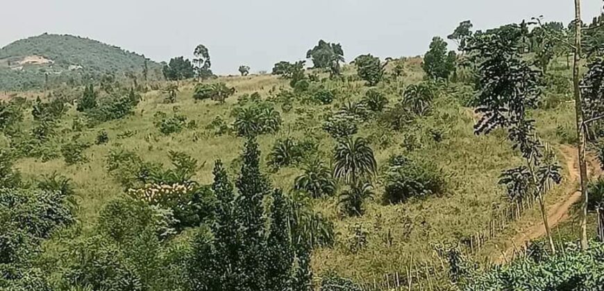 LAND FOR SALE AT UGANDA-KYABAHEESI