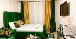 COSY STUDIO AIR BNB FULLY FURNISHED APARTMENT TO-LET IN RUAKA ALONG LIMURU RD