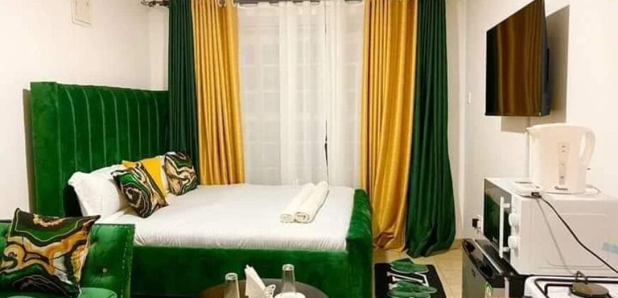 COSY STUDIO AIR BNB FULLY FURNISHED APARTMENT TO-LET IN RUAKA ALONG LIMURU RD