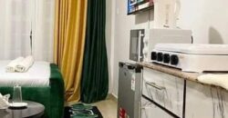 COSY STUDIO AIR BNB FULLY FURNISHED APARTMENT TO-LET IN RUAKA ALONG LIMURU RD