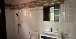 Executive 4 bedroom house with 5 washrooms house for sale at Nmai dzor