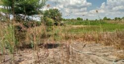 Farm for sale in chongwe