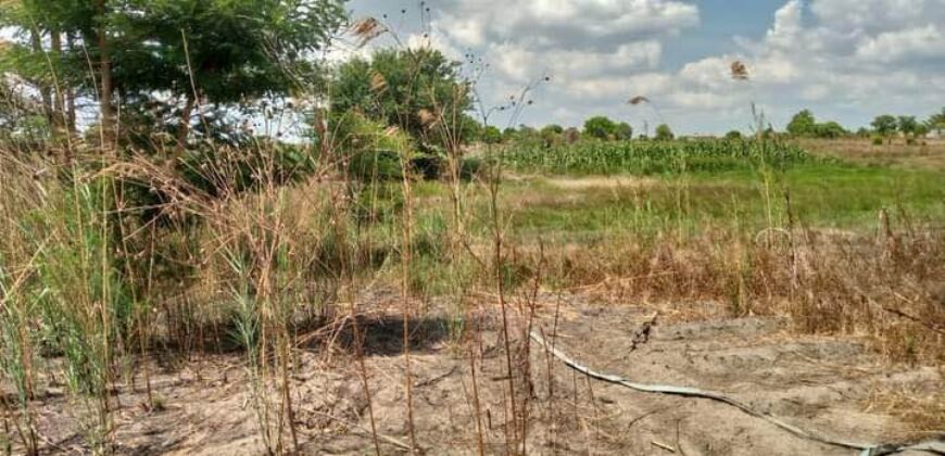 Farm for sale in chongwe