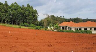 RESIDENTIAL PLOT FOR SALE AT UGANDA-KITO