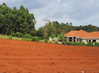 RESIDENTIAL PLOT FOR SALE AT UGANDA-KITO