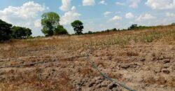 Farm for sale in chongwe