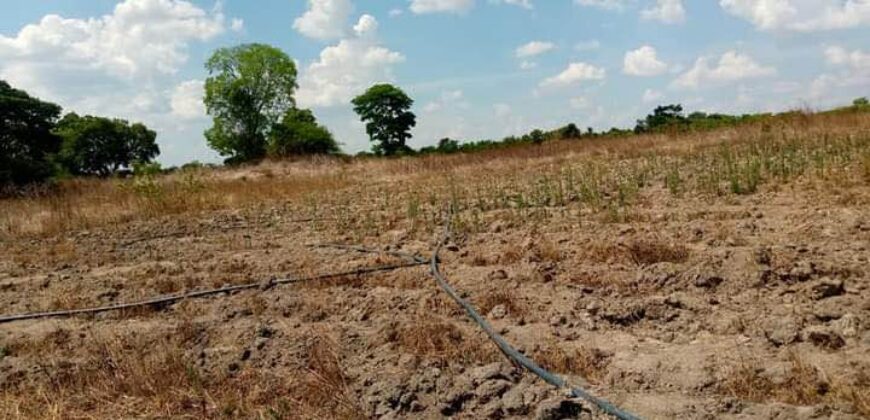 Farm for sale in chongwe