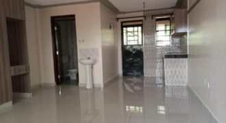 EXECUTIVE SPACIOUS STUDIO BEDSITTERS TO-LET IN RUAKA MUCHATHA