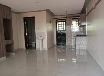 EXECUTIVE SPACIOUS STUDIO BEDSITTERS TO-LET IN RUAKA MUCHATHA