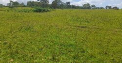 15 ACRES WITH A PRIVATE MILO LAND TITILE LOCATED AT UGANDA-KIYUNGA