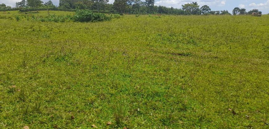 15 ACRES WITH A PRIVATE MILO LAND TITILE LOCATED AT UGANDA-KIYUNGA