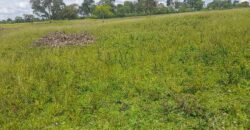 15 ACRES WITH A PRIVATE MILO LAND TITILE LOCATED AT UGANDA-KIYUNGA