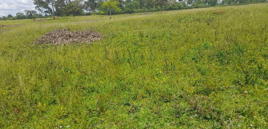 15 ACRES WITH A PRIVATE MILO LAND TITILE LOCATED AT UGANDA-KIYUNGA