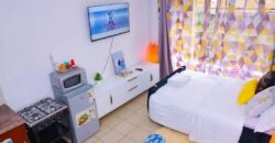 COSY STUDIO AIR BNB FULLY FURNISHED APARTMENT TO-LET IN RUAKA ALONG LIMURU RD