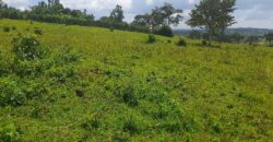 15 ACRES WITH A PRIVATE MILO LAND TITILE LOCATED AT UGANDA-KIYUNGA