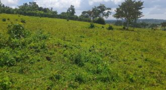 15 ACRES WITH A PRIVATE MILO LAND TITILE LOCATED AT UGANDA-KIYUNGA