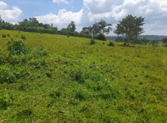 15 ACRES WITH A PRIVATE MILO LAND TITILE LOCATED AT UGANDA-KIYUNGA