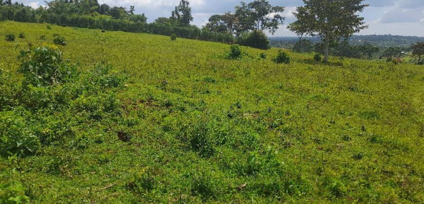 15 ACRES WITH A PRIVATE MILO LAND TITILE LOCATED AT UGANDA-KIYUNGA