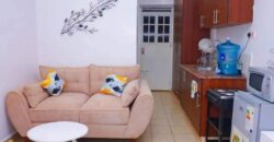 COSY STUDIO AIR BNB FULLY FURNISHED APARTMENT TO-LET IN RUAKA ALONG LIMURU RD