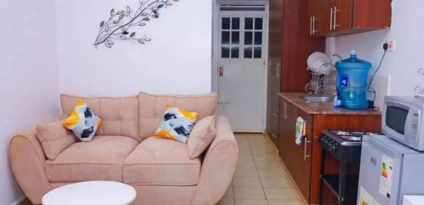 COSY STUDIO AIR BNB FULLY FURNISHED APARTMENT TO-LET IN RUAKA ALONG LIMURU RD