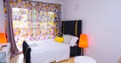 COSY STUDIO AIR BNB FULLY FURNISHED APARTMENT TO-LET IN RUAKA ALONG LIMURU RD