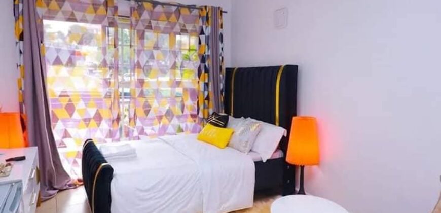 COSY STUDIO AIR BNB FULLY FURNISHED APARTMENT TO-LET IN RUAKA ALONG LIMURU RD