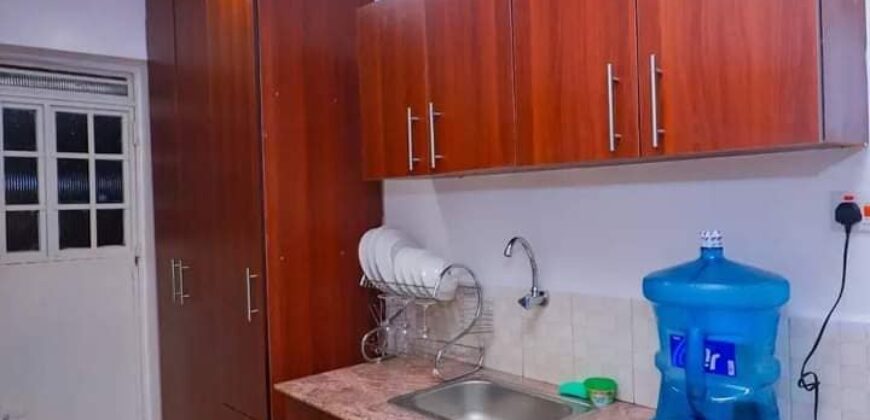 COSY STUDIO AIR BNB FULLY FURNISHED APARTMENT TO-LET IN RUAKA ALONG LIMURU RD