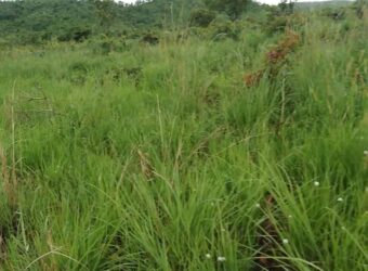 20 Hactares Virgin Land For Sale in Chifwema After Sinoma Cement Plant