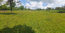 15 ACRES WITH A PRIVATE MILO LAND TITILE LOCATED AT UGANDA-KIYUNGA