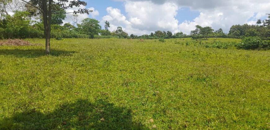 15 ACRES WITH A PRIVATE MILO LAND TITILE LOCATED AT UGANDA-KIYUNGA