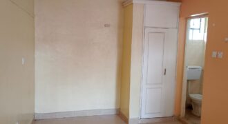 SPACIOUS BEDSITTERS TO-LET IN RUAKA ALONG LIMURU RD