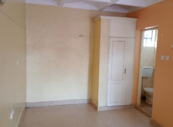 SPACIOUS BEDSITTERS TO-LET IN RUAKA ALONG LIMURU RD