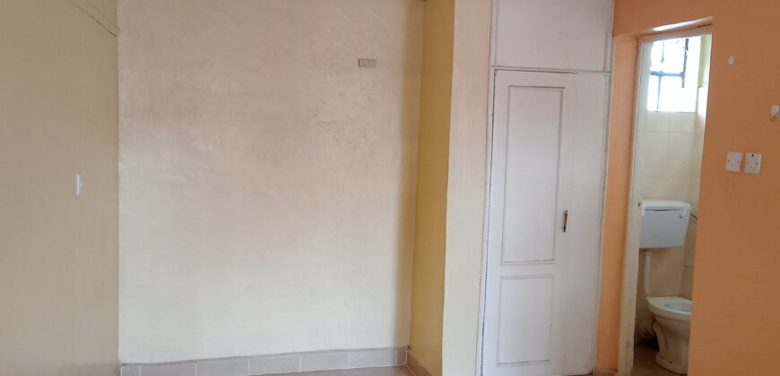 SPACIOUS BEDSITTERS TO-LET IN RUAKA ALONG LIMURU RD