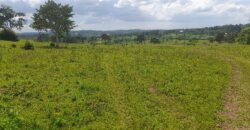 15 ACRES WITH A PRIVATE MILO LAND TITILE LOCATED AT UGANDA-KIYUNGA