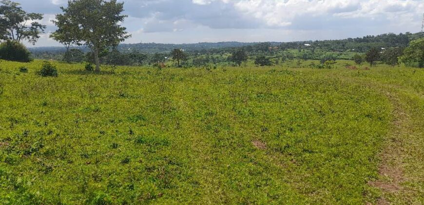 15 ACRES WITH A PRIVATE MILO LAND TITILE LOCATED AT UGANDA-KIYUNGA