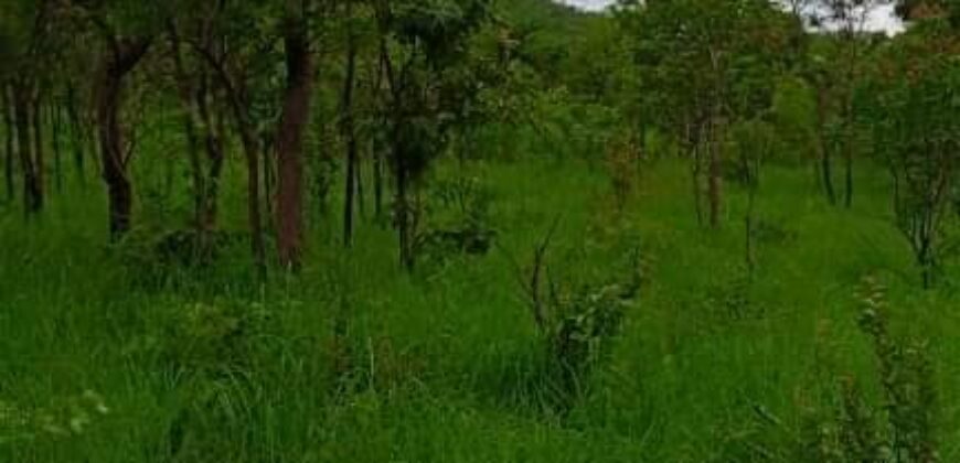 20 Hactares Virgin Land For Sale in Chifwema After Sinoma Cement Plant.