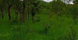 20 Hactares Virgin Land For Sale in Chifwema After Sinoma Cement Plant