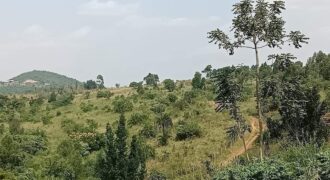 LAND FOR SALE AT UGANDA-KYABAHEESI